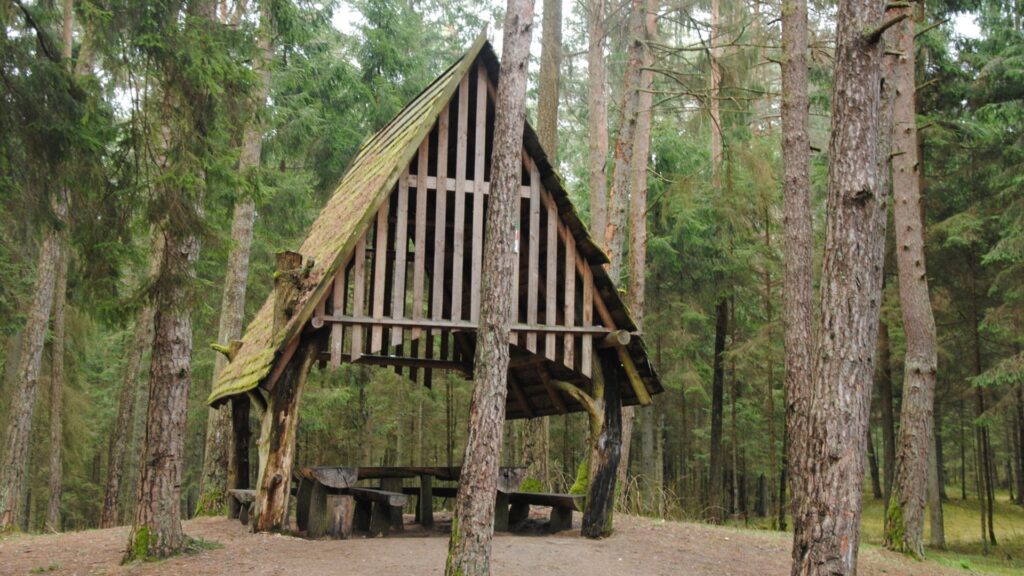 Poilsiavietė „Apuokynė“