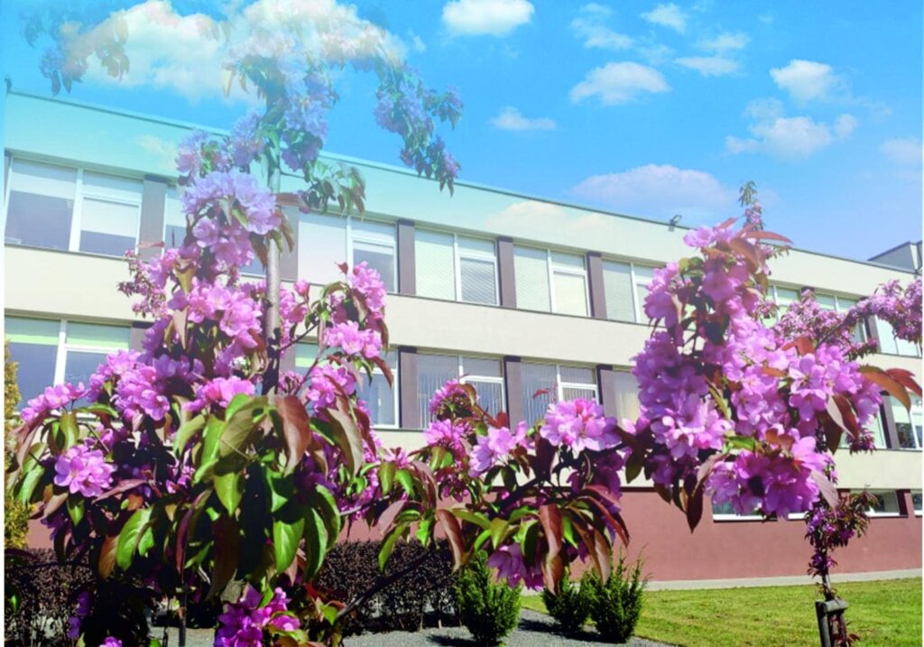 Konkurso „Sukurk maršrutą turistui savo seniūnijoje“ 15