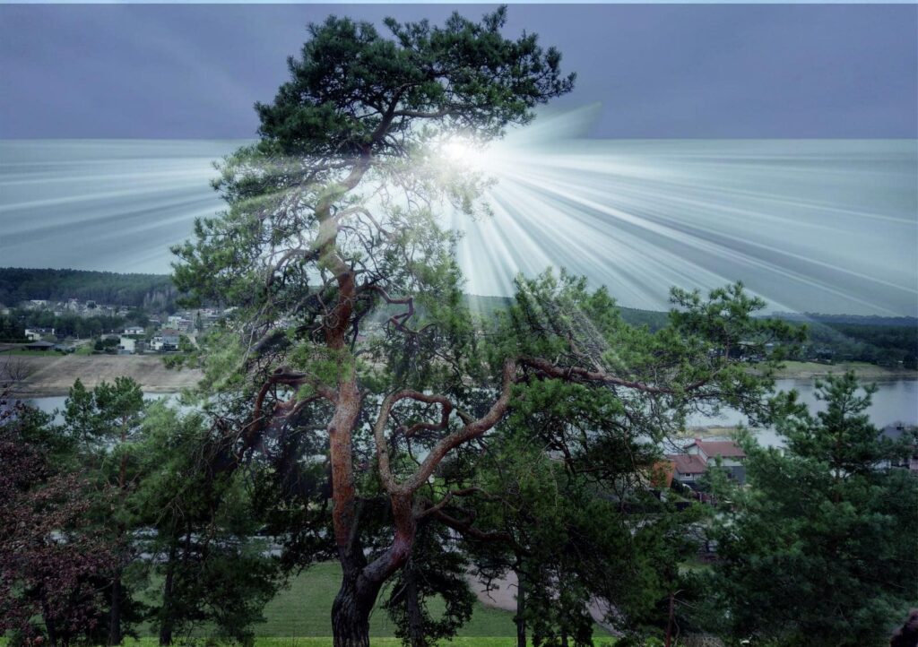 Konkurso „Sukurk maršrutą turistui savo seniūnijoje“ 18