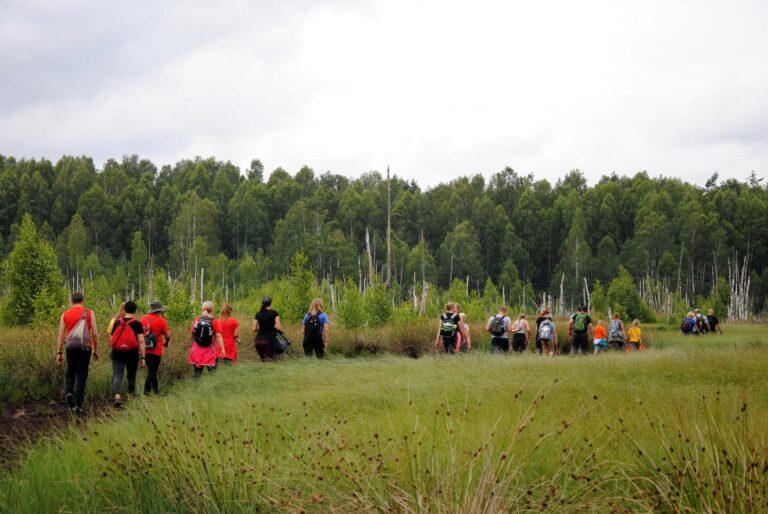 Žygiai Kauno rajone