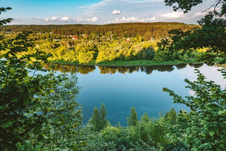 Drąseikių atodanga