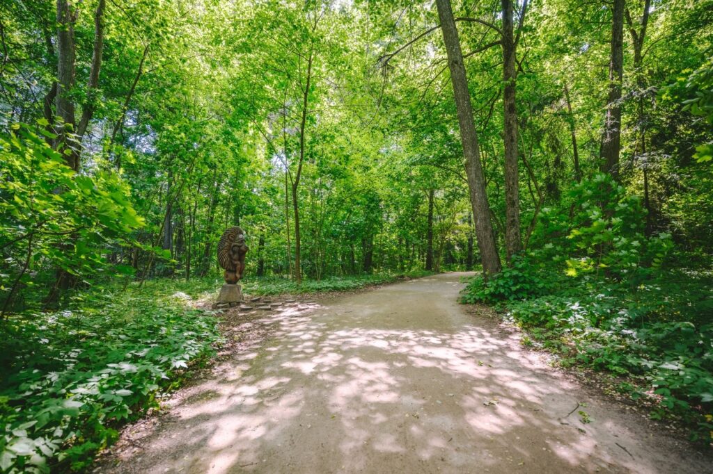 Kamšos botaninio – zoologinio draustinio pažintinis takas