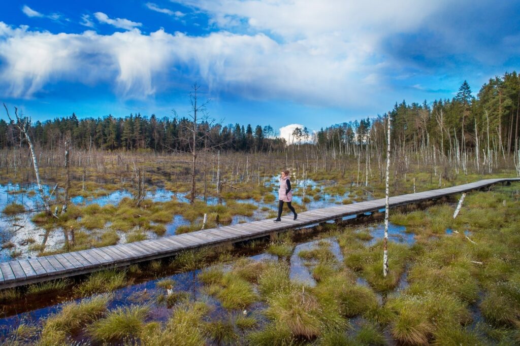 Konkurso „Sukurk maršrutą turistui savo seniūnijoje“ maršrutas „Išmainome lovą ir miego karalystę į gamtą“