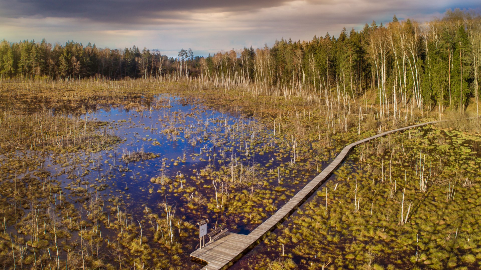 Dubravos rezervatinė apyrubė