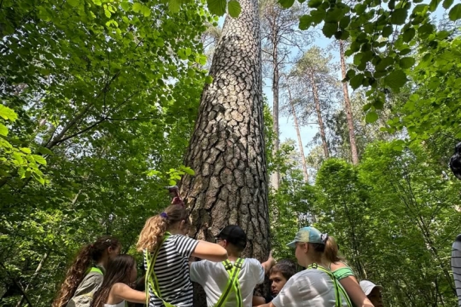 „Kanopos ir pėdutės“