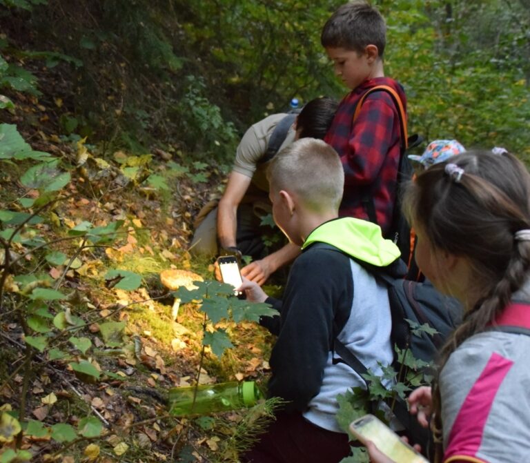 „Grybų karas“ 1