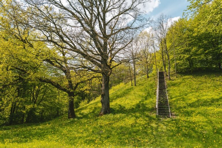 Jaučakių piliakalnis