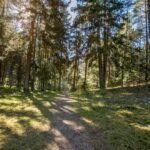 Šaltinių takas 1 nuotrauka