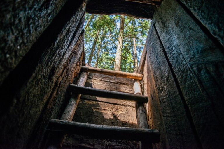 Virtuali kelionė partizanų pėdsakais „Žvangantis miškas“