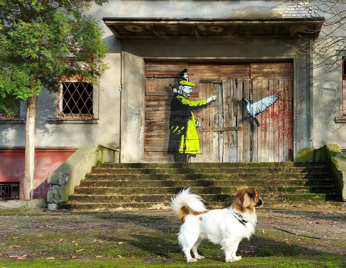 „Balandžių lesintojas“