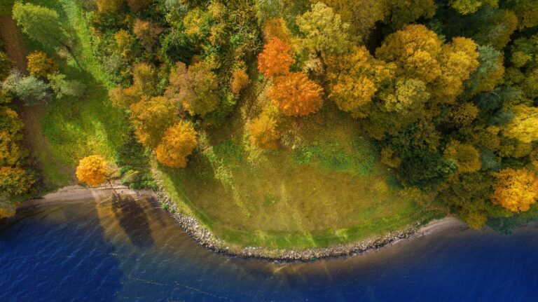 Pakalniškių pažintinis takas