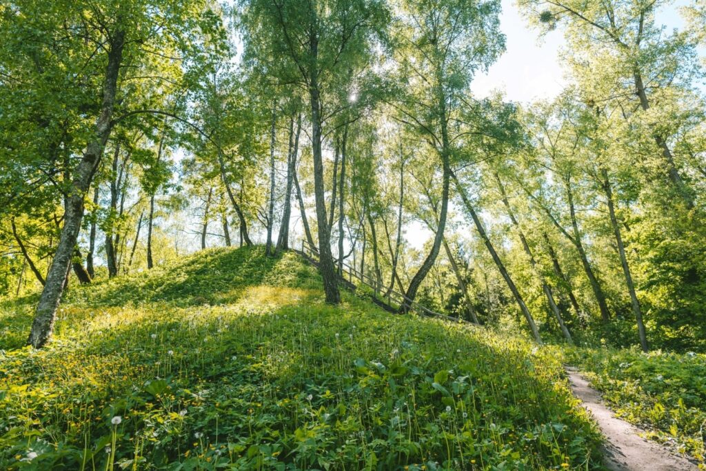 Samylų piliakalnis