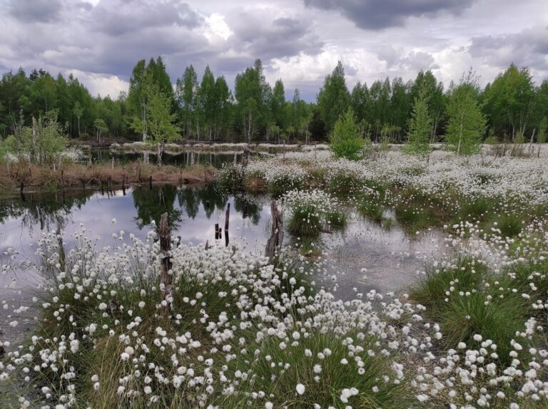 Konkurso „Sukurk maršrutą turistui savo seniūnijoje“ maršrutas „Ei, aplankyk Ežerėlį!“