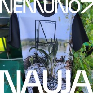 Marškinėliai „Akmenėliai“