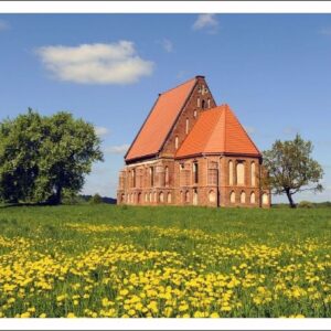 Atvirukas Raudondvaris 4